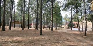 Beautifully Updated Black Forest Rancher on 5 Acres! Beautifully Updated Black Forest Rancher on 5 Acres! Gallery 3