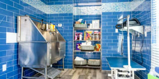 North Village Gallery 10