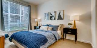 Legacy at Fitz Gallery 65