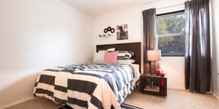 TGM Autumn Woods Gallery 11