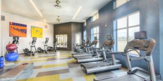 Urbana Urbana Gallery 55