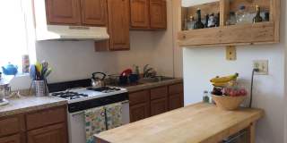 Beautiful 1 Bed Apartment in North Center/ Ravenswood Area Available September 1st Gallery 15