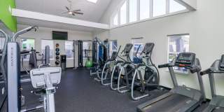 Willow Springs Gallery 37