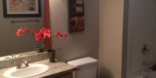 Pinnacle at Galleria Luxury Apartments Gallery 28