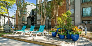 Driscoll Place Gallery 29