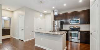 Amelia at Westshore Gallery 1