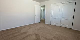 5029 IVY CREEK Court Gallery 28