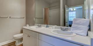 The Saulet Gallery 13