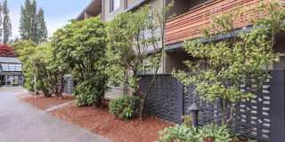 Andante Gallery 7