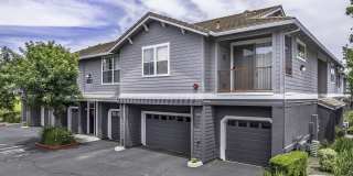 Seville at Mace Ranch Gallery 7