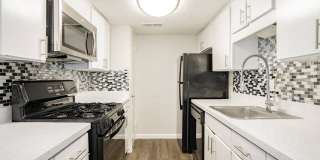 Aero White Rock Gallery 33