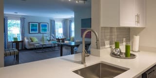 Alister Quincy Gallery 2