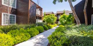 Grove Apartments Gallery 40