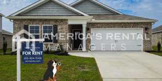 New Construction Home for Rent! Gallery 1