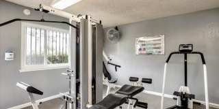 Skyline View Gallery 6