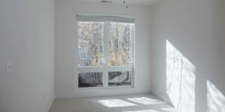 Osprey Apartments Gallery 44