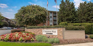 Cinnamon Run at Peppertree Farm Gallery 33