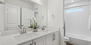 Canvas at Anna Gallery 14