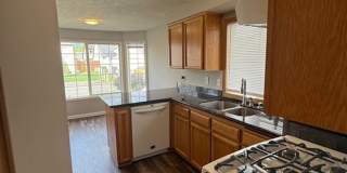 Single Level House - Move-in Ready Early July Gallery 4