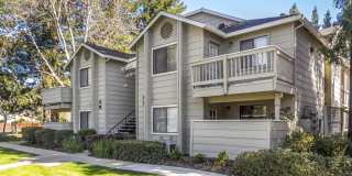 River Terrace Apartment Homes Gallery 18