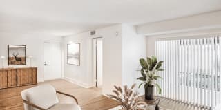 Coconut Palm Club Gallery 39