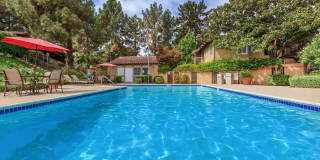 The Villas at Harbor Pointe Gallery 8