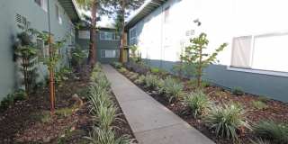 The Canopy Gallery 30