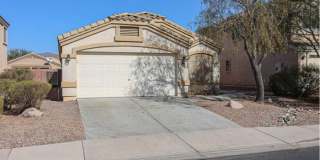 23928 West Desert Bloom Street Gallery 4