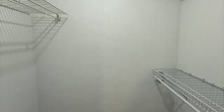 Hogtown Creek 1/1! Gallery 16