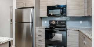 RIZE at Winter Springs Gallery 89