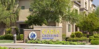 Cadia Crossing Gallery 26