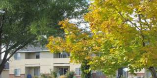 Mountain Glen Gallery 1