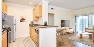 The Piero Gallery 42