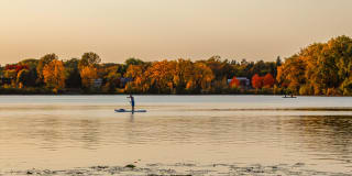 Pure Lowry Gallery 40