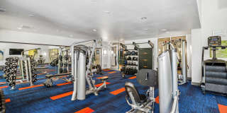 Alma on Maple Gallery 8