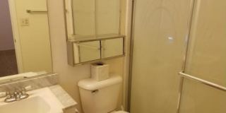 55+ NICE 2 BEDROOM, 2 BATH SINGLE FAMILY HOME Gallery 10