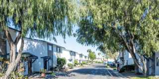 Country Aire Apartments Gallery 1