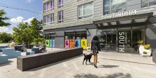 Continuum Gallery 27