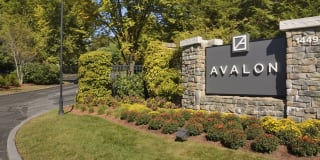 Avalon Bear Hill Gallery 37
