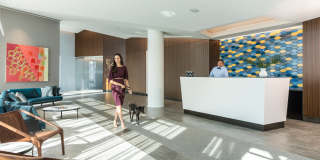 VYV Gallery 75