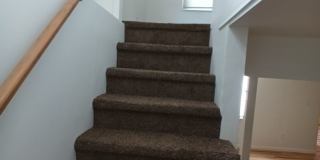 Spacious 3 bedroom 1 Bath in Warren! Gallery 22