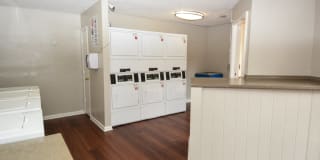 The Pines Gallery 55
