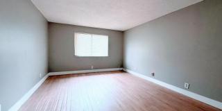 193 Lakeview Drive Gallery 3
