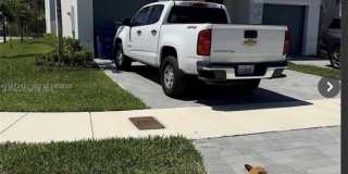 16220 SW 288th Ter Gallery 1