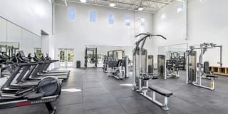 Palm Trace Landings Gallery 20