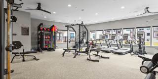 Rovena at Mt Zion Gallery 16