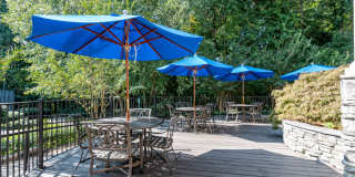 Magnolia at Milton Gallery 17