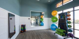 Canopy Park Gallery 11