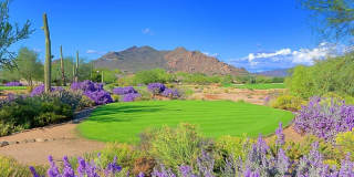 6894 E THIRSTY CACTUS Lane Gallery 96
