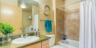 Seasons at Lea Hill Gallery 23